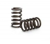 Kelford 1FZ/TB48 Valve Springs